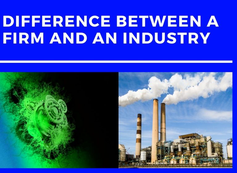 Difference Between Company And Industry
