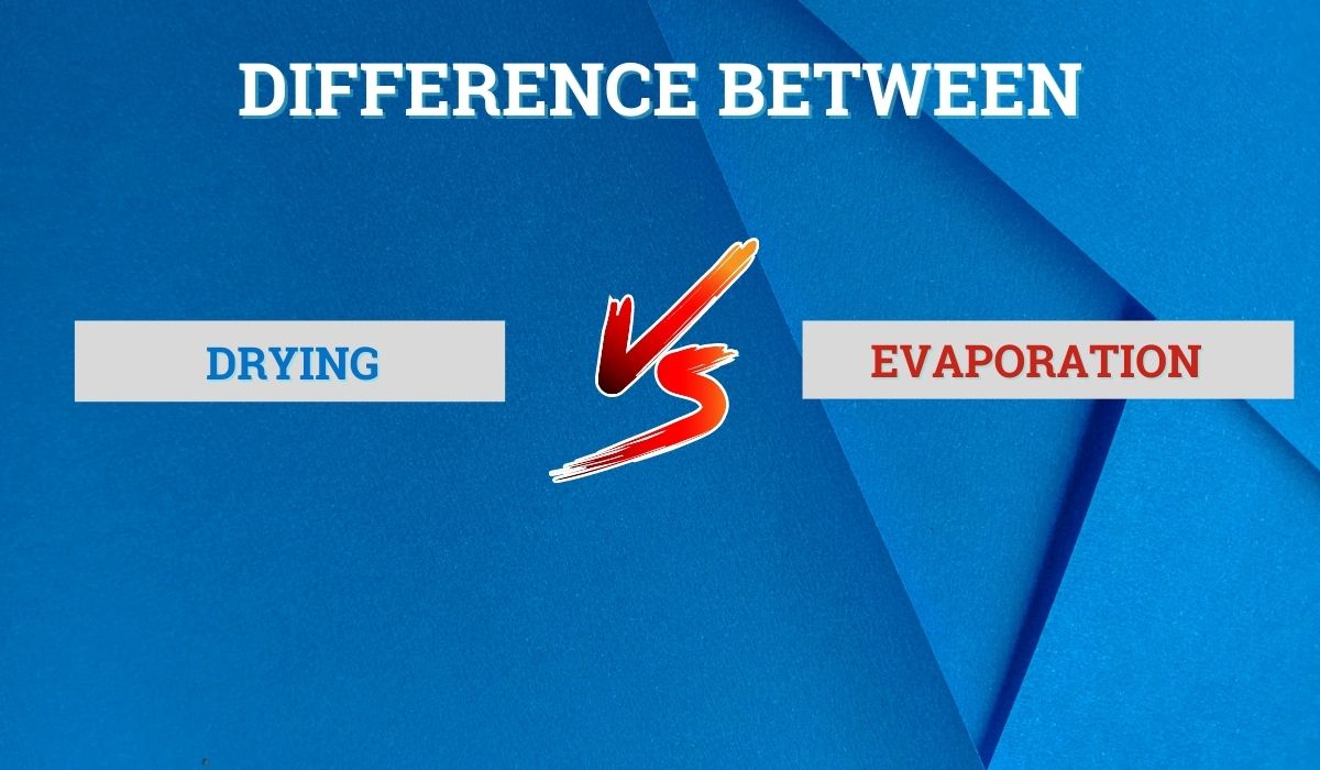 Difference Between Drying and Evaporation