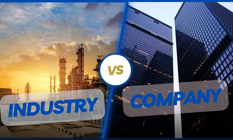 Difference Between Industry and Company
